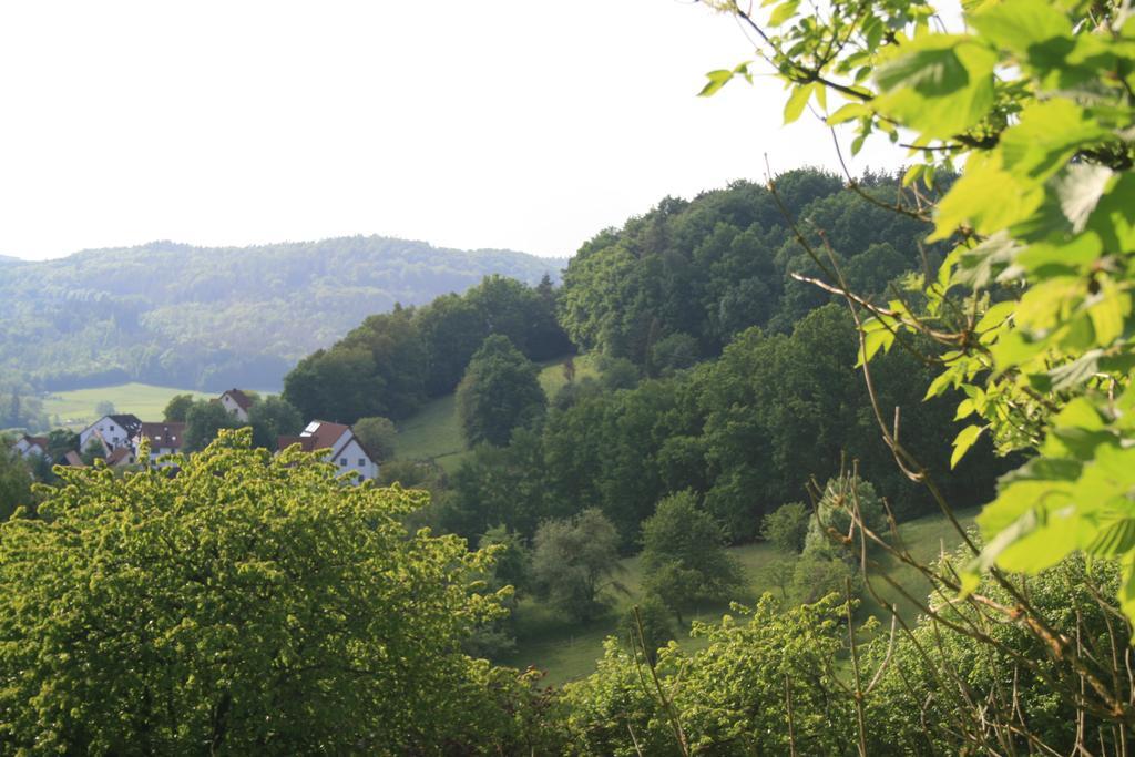 Landidyll Hotel Zum Alten Schloss Kirchensittenbach Phòng bức ảnh