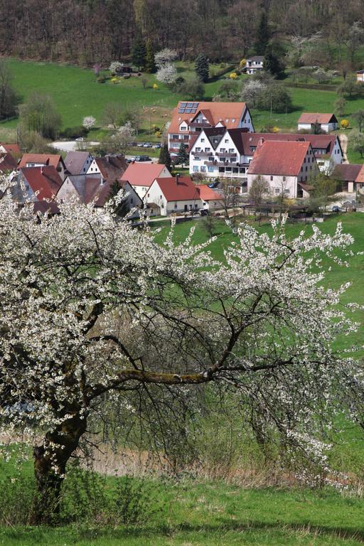 Landidyll Hotel Zum Alten Schloss Kirchensittenbach Phòng bức ảnh
